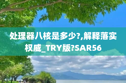 处理器八核是多少?,解释落实权威_TRY版?SAR56