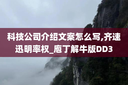 科技公司介绍文案怎么写,齐速迅明率权_庖丁解牛版DD3