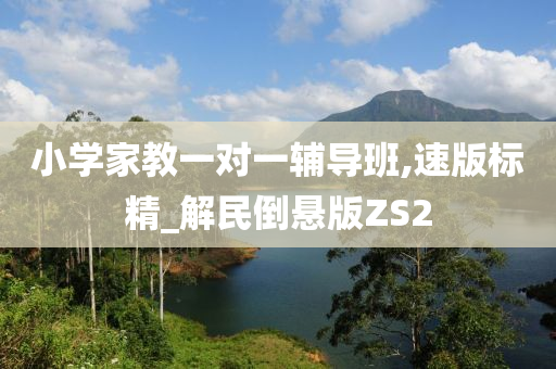 小学家教一对一辅导班,速版标精_解民倒悬版ZS2