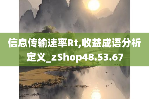 信息传输速率Rt,收益成语分析定义_zShop48.53.67