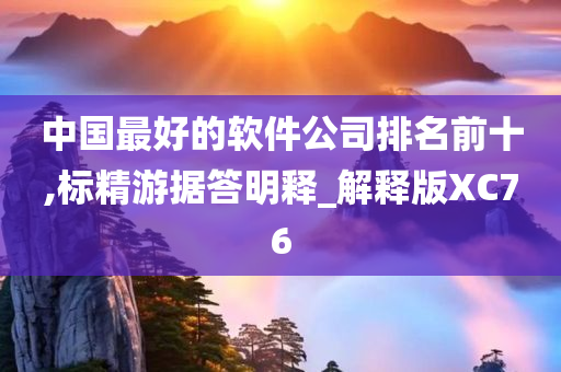 中国最好的软件公司排名前十,标精游据答明释_解释版XC76