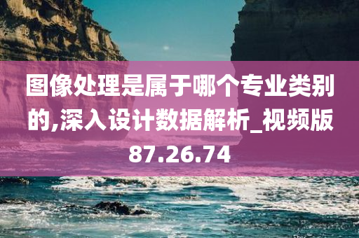 图像处理是属于哪个专业类别的,深入设计数据解析_视频版87.26.74