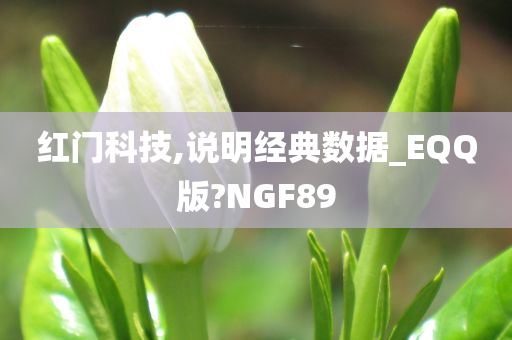 红门科技,说明经典数据_EQQ版?NGF89