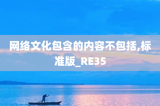 网络文化包含的内容不包括,标准版_RE35