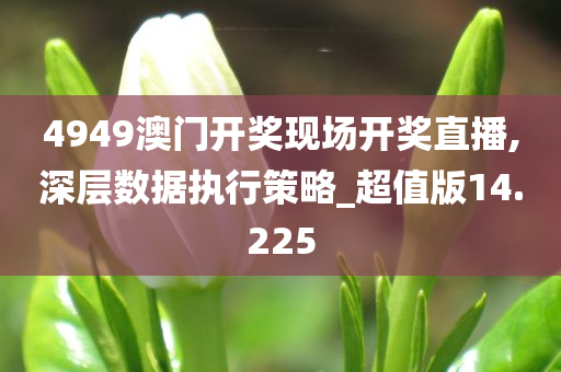 4949澳门开奖现场开奖直播,深层数据执行策略_超值版14.225