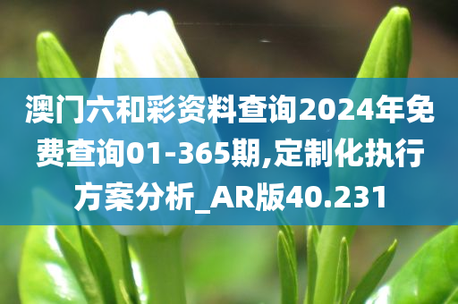 澳门六和彩资料查询2024年免费查询01-365期,定制化执行方案分析_AR版40.231