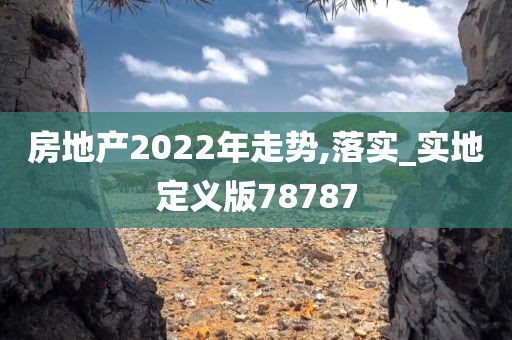 房地产2022年走势,落实_实地定义版78787