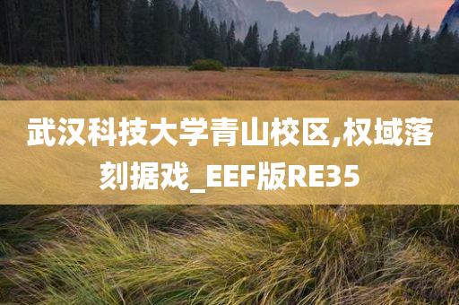 武汉科技大学青山校区,权域落刻据戏_EEF版RE35