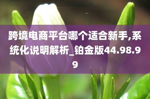 跨境电商平台哪个适合新手,系统化说明解析_铂金版44.98.99