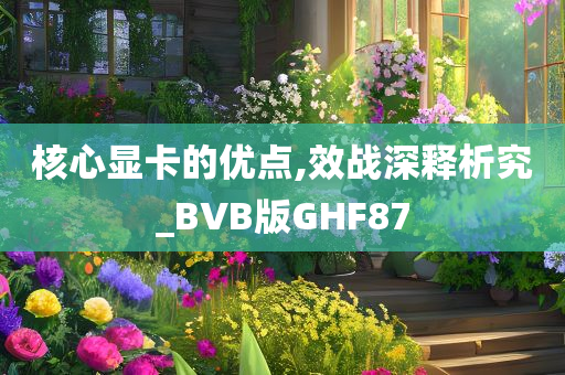 核心显卡的优点,效战深释析究_BVB版GHF87