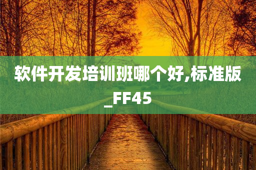 软件开发培训班哪个好,标准版_FF45