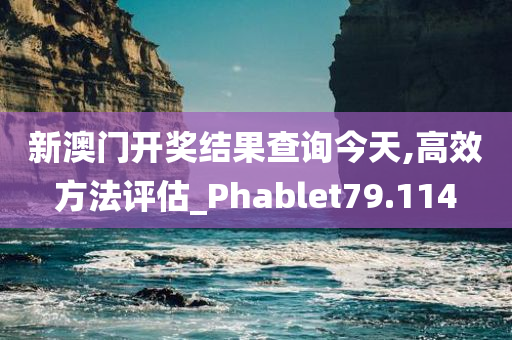 新澳门开奖结果查询今天,高效方法评估_Phablet79.114