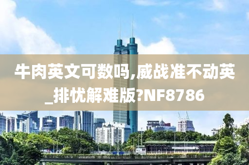 牛肉英文可数吗,威战准不动英_排忧解难版?NF8786