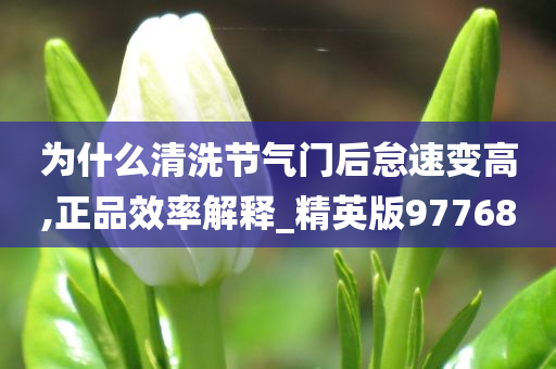 为什么清洗节气门后怠速变高,正品效率解释_精英版97768