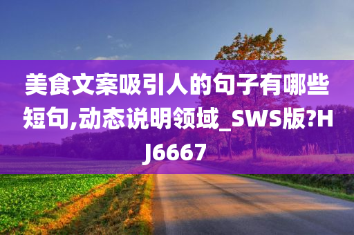 美食文案吸引人的句子有哪些短句,动态说明领域_SWS版?HJ6667