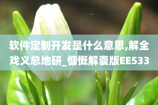 软件定制开发是什么意思,解全戏义总地研_慷慨解囊版EE533