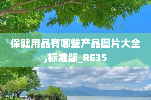 保健用品有哪些产品图片大全,标准版_RE35