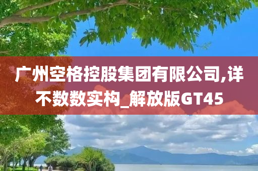 广州空格控股集团有限公司,详不数数实构_解放版GT45