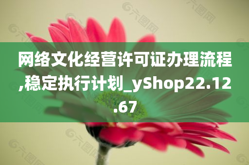 网络文化经营许可证办理流程,稳定执行计划_yShop22.12.67