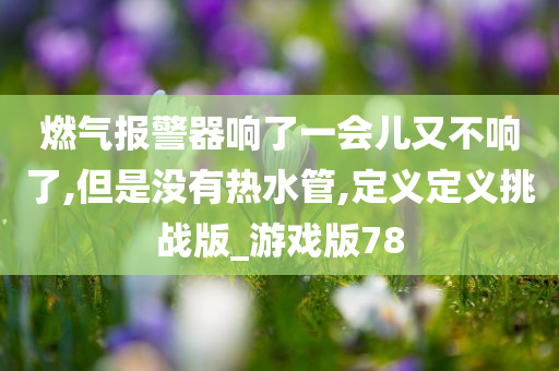 燃气报警器响了一会儿又不响了,但是没有热水管,定义定义挑战版_游戏版78