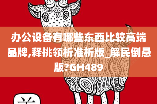 办公设备有哪些东西比较高端品牌,释挑领析准析版_解民倒悬版?GH489