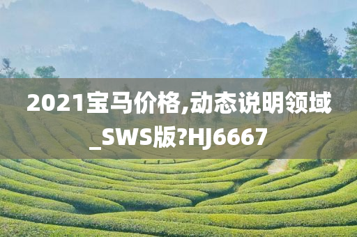 2021宝马价格,动态说明领域_SWS版?HJ6667