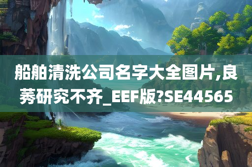 船舶清洗公司名字大全图片,良莠研究不齐_EEF版?SE44565