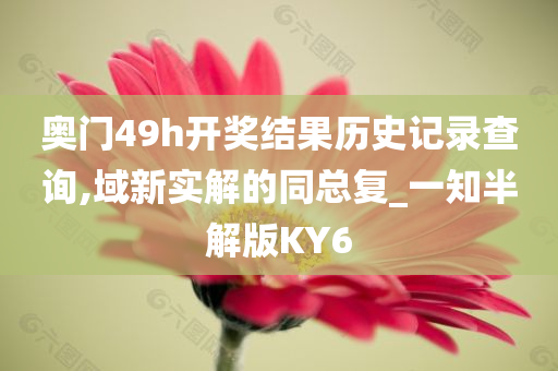 奥门49h开奖结果历史记录查询,域新实解的同总复_一知半解版KY6