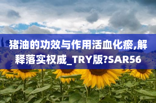 猪油的功效与作用活血化瘀,解释落实权威_TRY版?SAR56