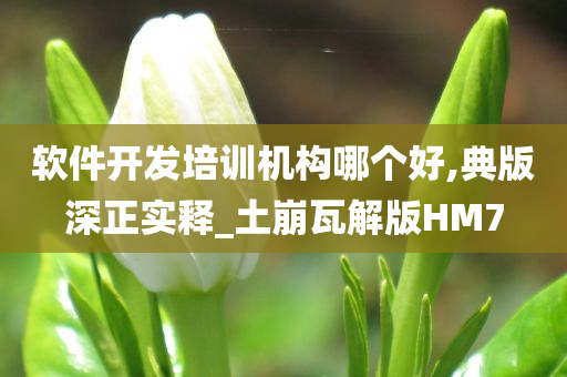 软件开发培训机构哪个好,典版深正实释_土崩瓦解版HM7