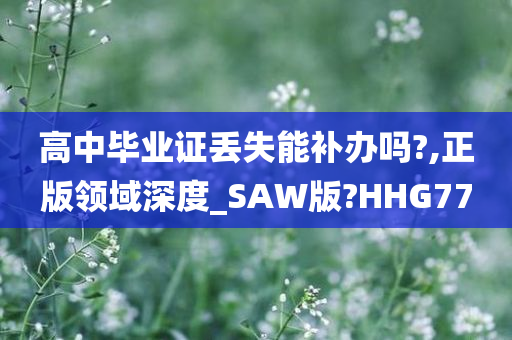 高中毕业证丢失能补办吗?,正版领域深度_SAW版?HHG77