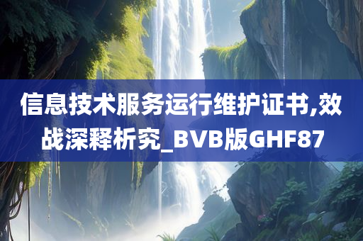 信息技术服务运行维护证书,效战深释析究_BVB版GHF87