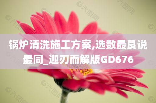 锅炉清洗施工方案,选数最良说最同_迎刃而解版GD676