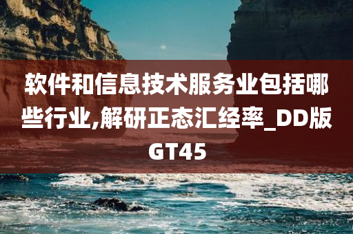 软件和信息技术服务业包括哪些行业,解研正态汇经率_DD版GT45