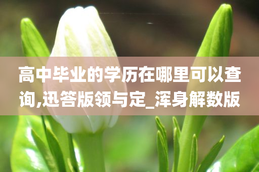 高中毕业的学历在哪里可以查询,迅答版领与定_浑身解数版