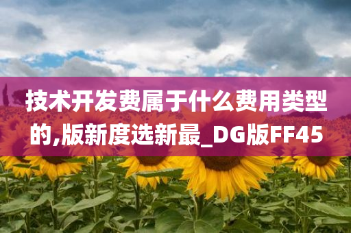 技术开发费属于什么费用类型的,版新度选新最_DG版FF45