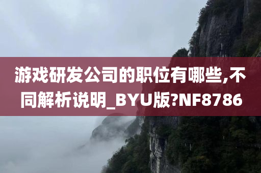 游戏研发公司的职位有哪些,不同解析说明_BYU版?NF8786