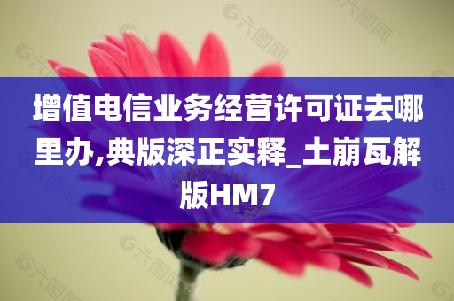 增值电信业务经营许可证去哪里办,典版深正实释_土崩瓦解版HM7