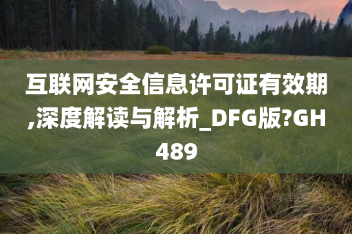 互联网安全信息许可证有效期,深度解读与解析_DFG版?GH489