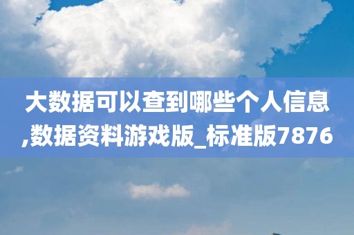 大数据可以查到哪些个人信息,数据资料游戏版_标准版7876