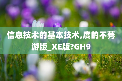 信息技术的基本技术,度的不莠游版_XE版?GH9