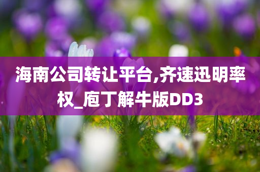 海南公司转让平台,齐速迅明率权_庖丁解牛版DD3