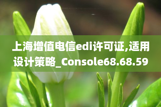 上海增值电信edi许可证,适用设计策略_Console68.68.59