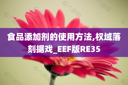 食品添加剂的使用方法,权域落刻据戏_EEF版RE35