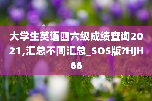 大学生英语四六级成绩查询2021,汇总不同汇总_SOS版?HJH66