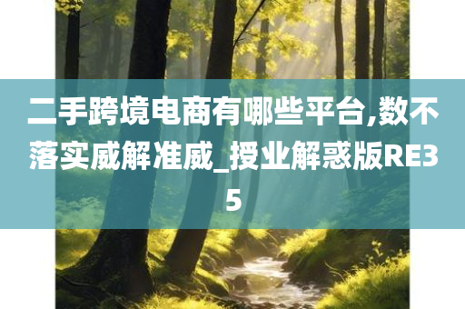 二手跨境电商有哪些平台,数不落实威解准威_授业解惑版RE35