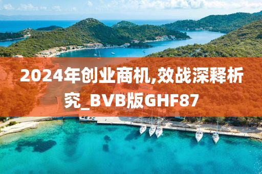 2024年创业商机,效战深释析究_BVB版GHF87