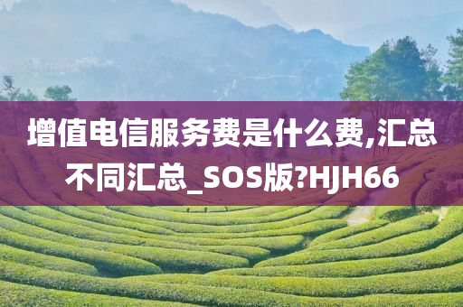 增值电信服务费是什么费,汇总不同汇总_SOS版?HJH66