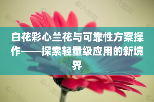 白花彩心兰花与可靠性方案操作——探索轻量级应用的新境界