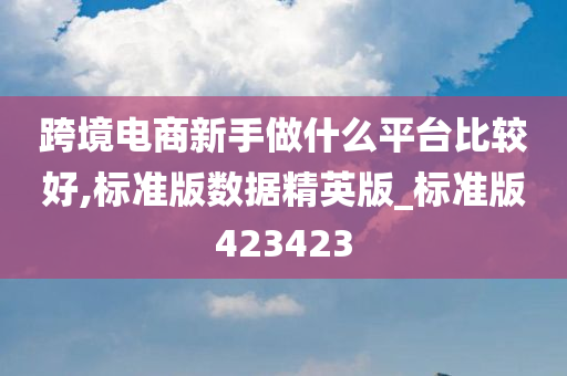 跨境电商新手做什么平台比较好,标准版数据精英版_标准版423423